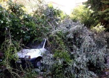 G4photos 6962b0ca9bf2f 1536x1024 (1)