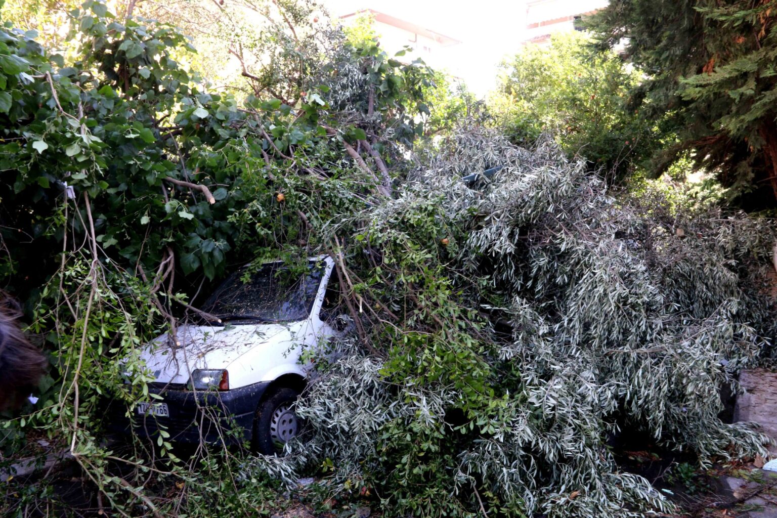 G4photos 6962b0ca9bf2f 1536x1024 (1)