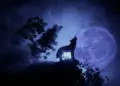 Wolves howl moon 1 thumb