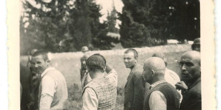 635269356 3099437640245876 3559886099262574487 n