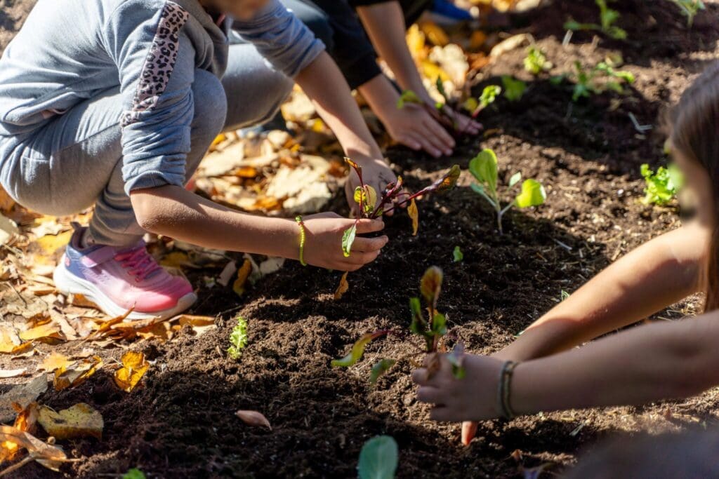 ΔΕΗ carbon farming schools 2 2048x1365