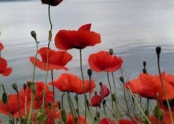 5b69c9f64d190b91ca78657b8e198828