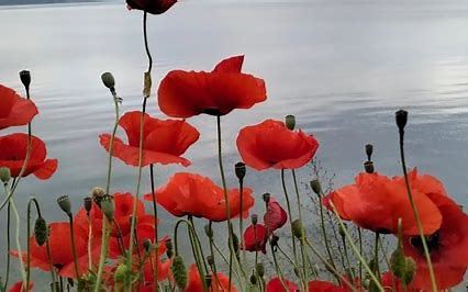 5b69c9f64d190b91ca78657b8e198828