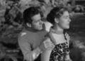 Thumbnail (10)